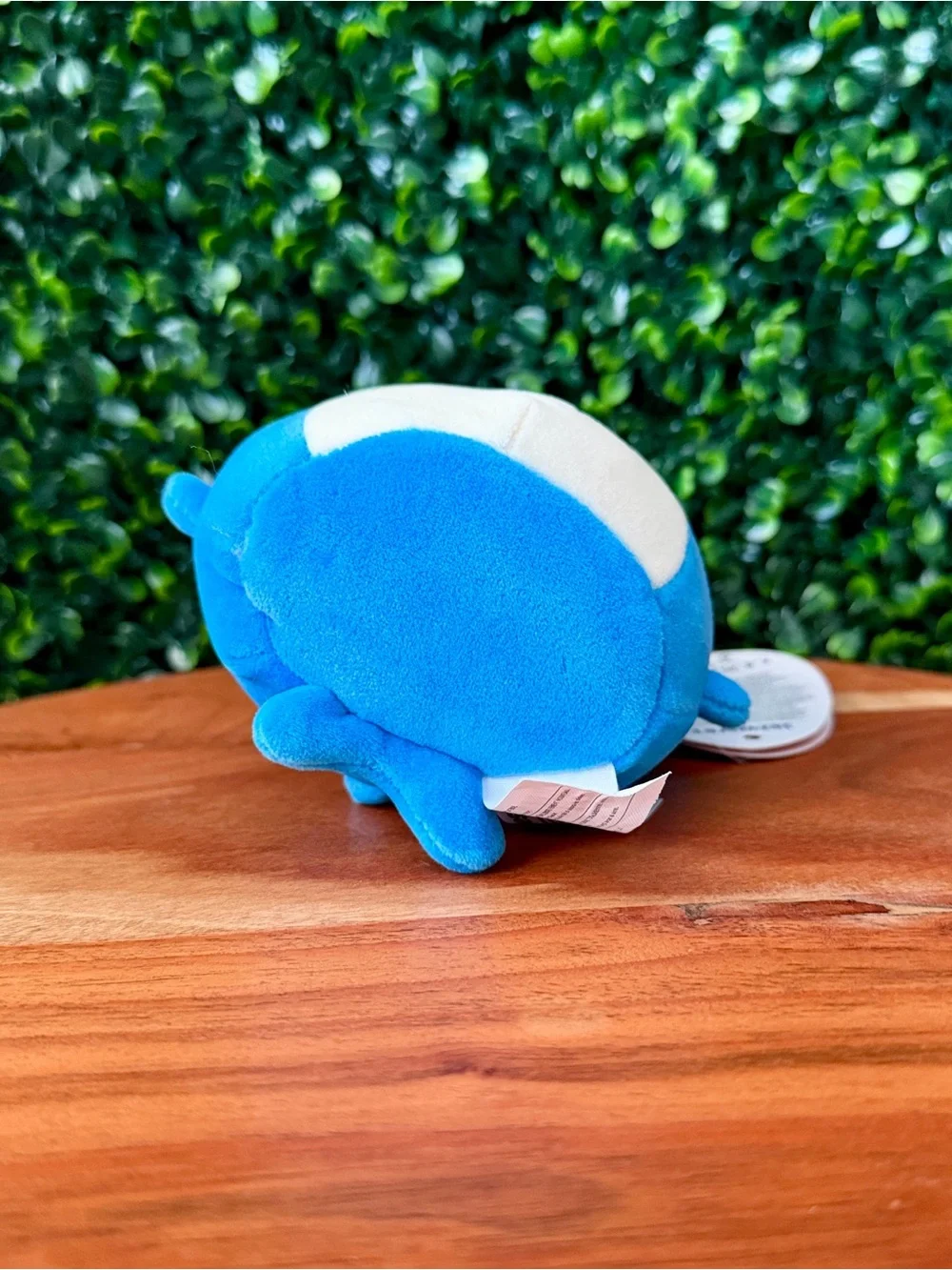 Squishmallows Nitro the Shark 4” Halloween Plush